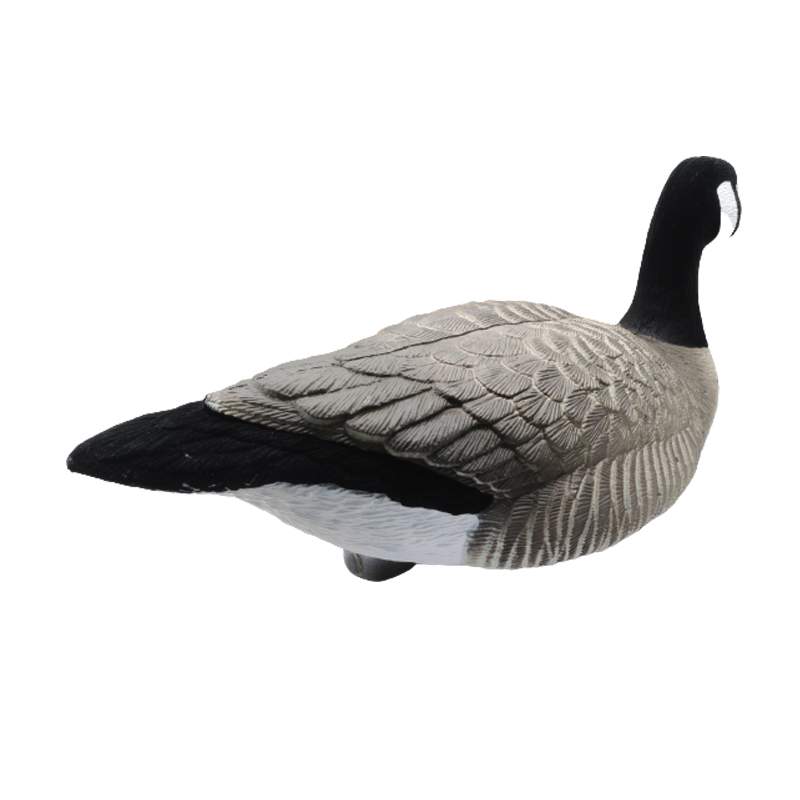 goose1-2.jpg